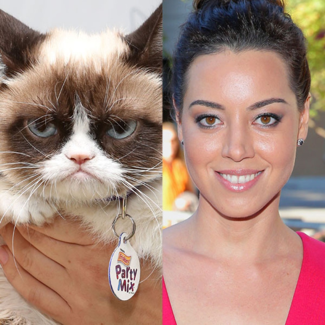 Aubrey Plaza To Voice Grumpy Cat In Lifetime Tv Movie Grumpy Cat S